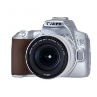  Canon EOS 250D Kit EF-S 18-55mm f/4-5.6 IS STM, серебристый