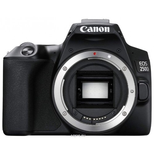 Зеркальный фотоаппарат Canon EOS 250D Body