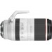Объектив Canon RF 100-500mm f/4.5-7.1L IS USM